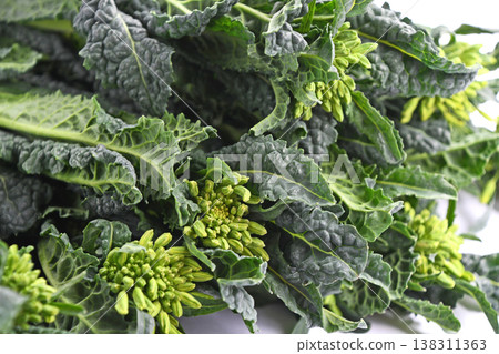 黑甘藍(Cavolo nero) 黑甘藍(Cavolo nero) 138311363