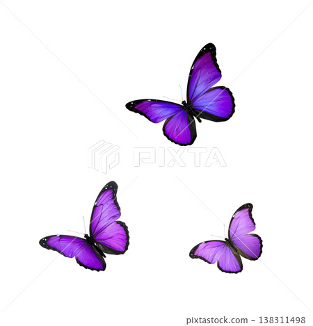 An illustration of a beautiful long-tailed butterfly on a white background. An illustration of a beautiful long-tailed butterfly on a white background. 138311498