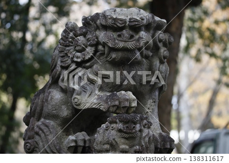 仙台青葉神社的小犬(守護獅子狗) 仙台青葉神社的小犬(守護獅子狗) 138311617