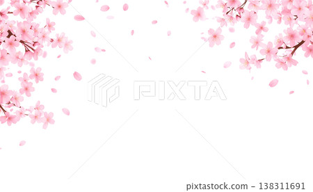 Illustration of pink cherry blossom petals in full bloom. Illustration of pink cherry blossom petals in full bloom. 138311691