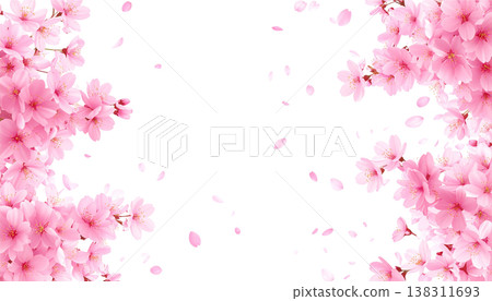 Illustration of pink cherry blossom petals in full bloom. 138311693