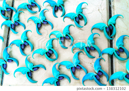 Honeysuckle 138312102