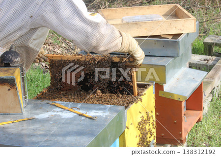beekeeper working on his apiary 138312192