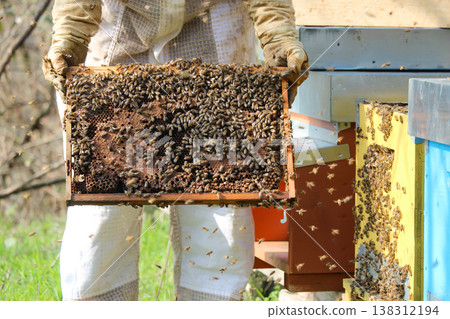 the beekeeper works with bees on a beehive 138312194