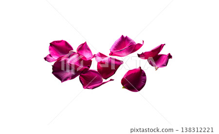 red rose petals red rose petals 138312221