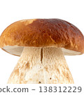 Mushrooms on a white background. 138312229