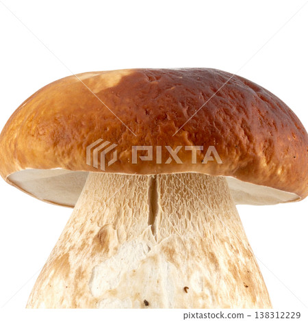 Mushrooms on a white background. Mushrooms on a white background. 138312229