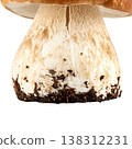 Mushrooms on a white background. 138312231