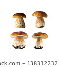 Mushrooms on a white background. 138312232