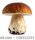 Mushrooms on a white background. 138312233