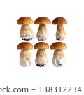 Mushrooms on a white background. 138312234