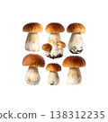 Mushrooms on a white background. 138312235