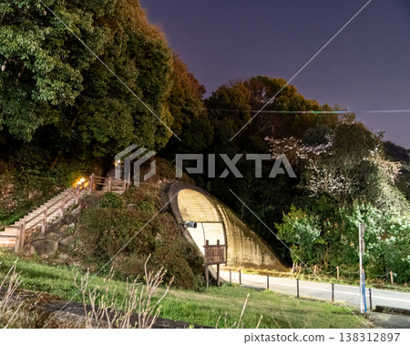 Tunnel, cherry blossoms, night view, walking path, mountain path, Japan, spring, night cherry blossoms, park scenery, Japanese scenery, natural scenery Tunnel, cherry blossoms, night view, walking path, mountain path, Japan, spring, night cherry blossoms, park scenery, Japanese scenery, natural scenery 138312897