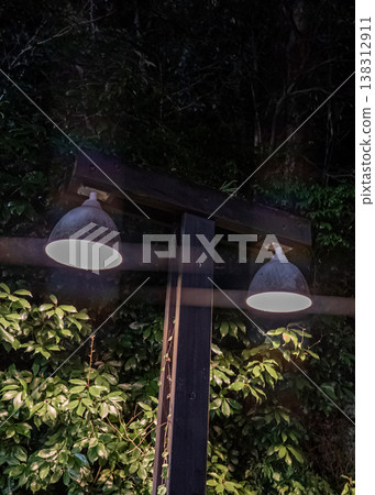 Streetlights, lighting, night view, garden lights, park lighting, outdoor lighting, Japan, night scenery, lighting equipment 138312911