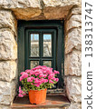 Pink chrysanthemum pot on rustic stone window sill in sunlight. 138313747