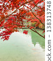 Red maple leaves over tranquil pond with koi in serene garden scene. 138313748