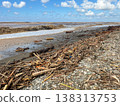 A littered pebble beach with rough waves and accumulations of debris and plastic. 138313753
