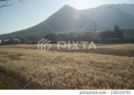 Saejae Bicycle Path 138314791