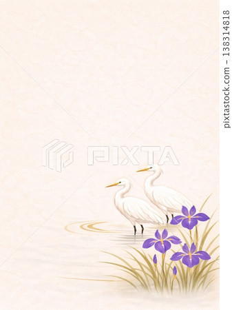 A pair of egrets and purple irises A pair of egrets and purple irises 138314818