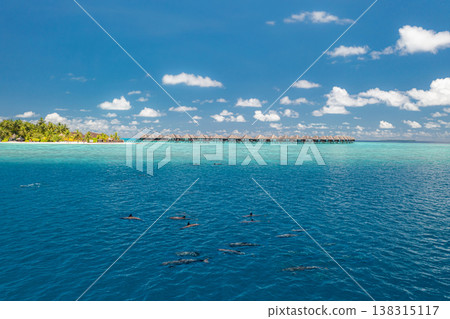 Amazing aerial view of Maldives resort island with pristine ocean, sunny beach, blue sky, and dreamy travel landscape wall art Amazing aerial view of Maldives resort island with pristine ocean, sunny beach, blue sky, and dreamy travel landscape wall art 138315117