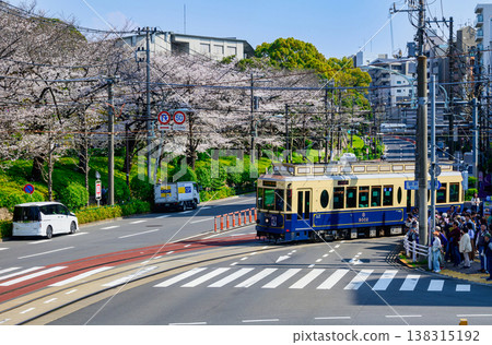 Tokyo Sakura Tram Sakura Train (car number 9002) and the cherry blossoms in full bloom at Asukayama Park - Seasonal operation only 138315192