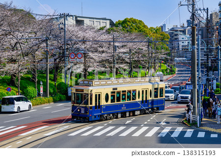 東京櫻花電車櫻花特快（9002次）與飛鳥山公園盛開的櫻花——僅限季節運營 138315193