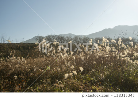 Saejae Bicycle Path 138315345