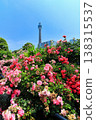 [Kanagawa Prefecture] Roses in Yamashita Park and Yokohama Marine Tower 138315537