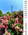 [Kanagawa Prefecture] Roses in Yamashita Park and Yokohama Marine Tower 138315538