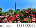 [Kanagawa Prefecture] Roses in Yamashita Park and Yokohama Marine Tower 138315541