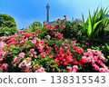 [Kanagawa Prefecture] Roses in Yamashita Park and Yokohama Marine Tower 138315543