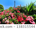 [Kanagawa Prefecture] Roses in Yamashita Park and Yokohama Marine Tower 138315544