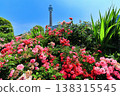 [Kanagawa Prefecture] Roses in Yamashita Park and Yokohama Marine Tower 138315545