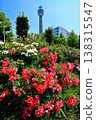 [Kanagawa Prefecture] Roses in Yamashita Park and Yokohama Marine Tower 138315547