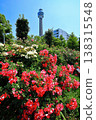 [Kanagawa Prefecture] Roses in Yamashita Park and Yokohama Marine Tower 138315548