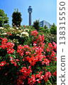 [Kanagawa Prefecture] Roses in Yamashita Park and Yokohama Marine Tower 138315550