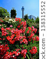 [Kanagawa Prefecture] Roses in Yamashita Park and Yokohama Marine Tower 138315552