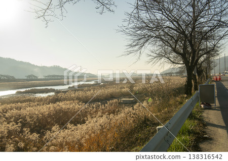 Saejae Bicycle Path Saejae Bicycle Path 138316542