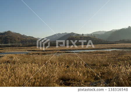 Saejae Bicycle Path 138316548