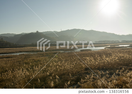 Saejae Bicycle Path Saejae Bicycle Path 138316556