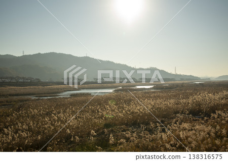 Saejae Bicycle Path Saejae Bicycle Path 138316575