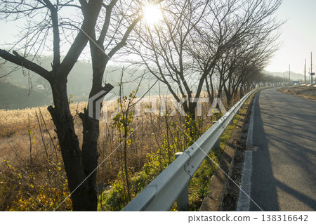 Saejae Bicycle Path 138316642
