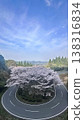 A spring scene of a hairpin bend on a mountain road surrounded by cherry blossoms | Cherry blossoms, mountain road, road, curve, spring, sky, scenery 138316834