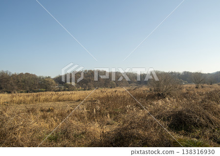 Saejae Bicycle Path Saejae Bicycle Path 138316930