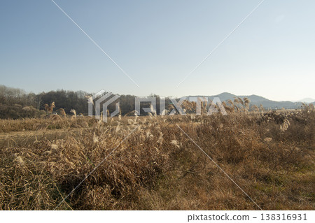 Saejae Bicycle Path 138316931