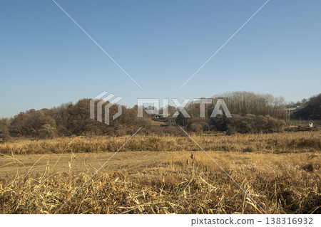 Saejae Bicycle Path Saejae Bicycle Path 138316932