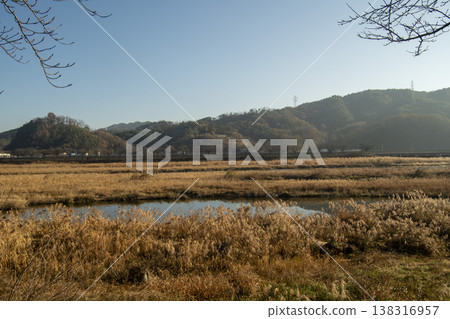 Saejae Bicycle Path 138316957