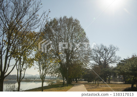 Saejae Bicycle Path Saejae Bicycle Path 138317013