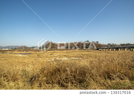 Saejae Bicycle Path Saejae Bicycle Path 138317016