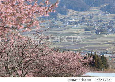 Cherry blossoms in full bloom against the backdrop of a mountain village. Cherry blossoms in full bloom against the backdrop of a mountain village. 138317058